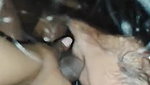 Desi Babe Blowjob Sex – Movies