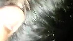 wife blowjob 5