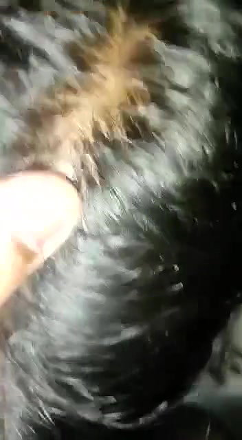 wife blowjob 5