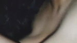 Bangladeshi big boobs viral wife sex with neighbor