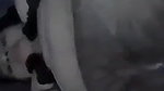 huge ass Bengali sex girlfriend stripping to nude