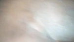wet pussy mature village bhabhi sex in doggy style