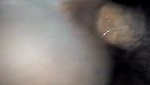 wet pussy mature village bhabhi sex in doggy style