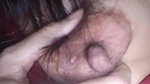 VID 20260313 WA0063