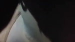 lonely bhabhi masturbating pussy viral FSI sex
