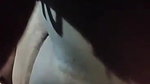lonely bhabhi masturbating pussy viral FSI sex