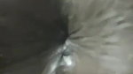 nude Tamil black MILF spreading ass MMS xxx video