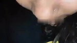 college girl bushy pussy showing Desi viral MMS