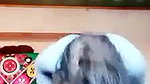 Pashto village girl nude shaved pussy showing