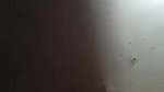 reverse cowgirl sex riding dick viral sex video