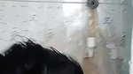 skinny bhabhi nude bath before her husband brother