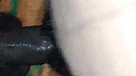 Indian porn MMS pregnant bhabhi riding dick1