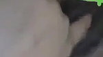 hottest naked video call sex of hairy pussy GF