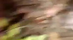 cute girlfriend outdoor sex viral MMS leaked