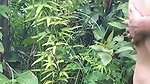 nice booby Odia girl outdoor sex viral MMS