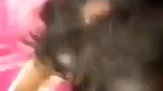 sex hungry girlfriend Indian blowjob and viral sex