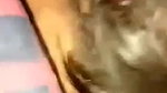 sex hungry girlfriend Indian blowjob and viral sex