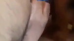 Bhabhi Sucking Dick