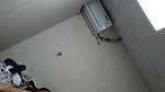 Indonesian girl fucked by indian big dick