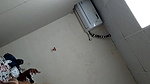 Indonesian girl fucked by indian big dick