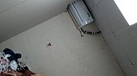 Indonesian girl fucked by indian big dick