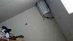 Indonesian girl fucked by indian big dick
