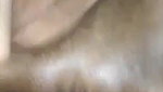 Sharmeeli Desi Wife stripchat