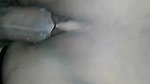 ro desvid3 215