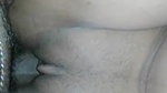 ro desvid3 215