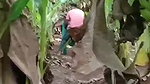 mallu wife outdoor sex at backyard of house
