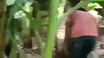 mallu wife outdoor sex at backyard of house
