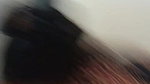 viral village randi sex oral pleasure to client