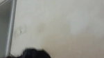 viral village randi sex oral pleasure to client