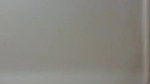 viral village randi sex oral pleasure to client