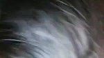 wet pussy Desi girl nude viral fucking with lover