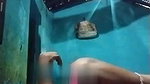 missionary fucking village bhabhi sex viral MMS