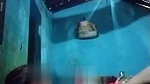 missionary fucking village bhabhi sex viral MMS