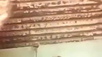mature mallu hot bhabhi sex affair viral nude