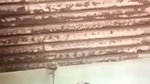 mature mallu hot bhabhi sex affair viral nude