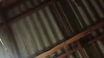 mallu hot college girl hairy pussy viral fingering