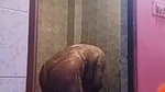 girlfriend fingering video call and nude bath