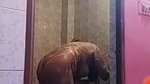 girlfriend fingering video call and nude bath