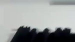 sexiest GF Desi fingering on viral video call