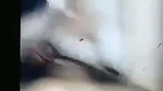 hottest Indian girl blowjob leaked viral video