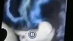 hottest Indian girl blowjob leaked viral video