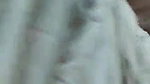 super horny desi girl fingering pussy videos
