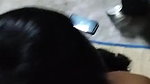 Chennai wife blowjob and pussy fuck in Tamil sex
