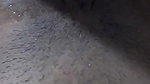 Chennai wife blowjob and pussy fuck in Tamil sex