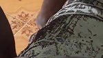Chennai wife blowjob and pussy fuck in Tamil sex