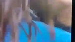 sexy GF handjob and desi blowjob inside car